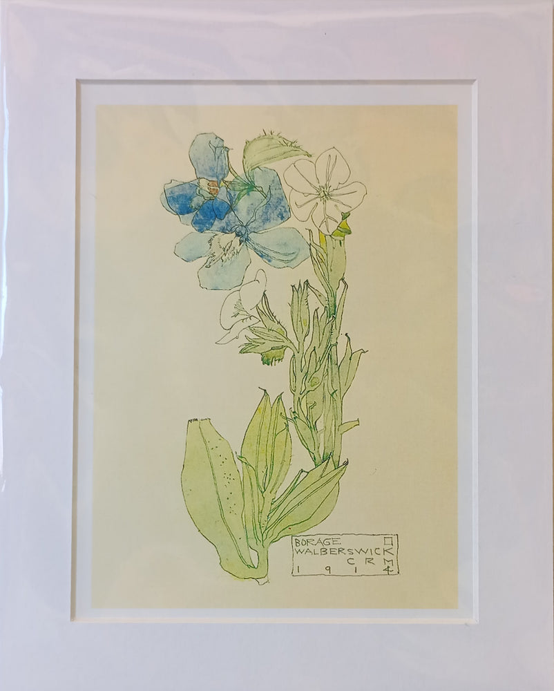 Mackintosh Borage Print