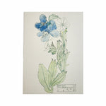 Mackintosh Borage Card