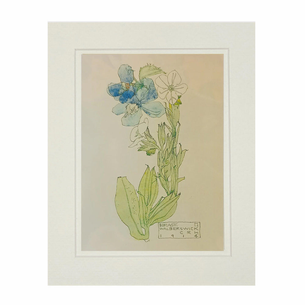 Mackintosh Borage Print