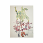Mackintosh Cactus Flower Card