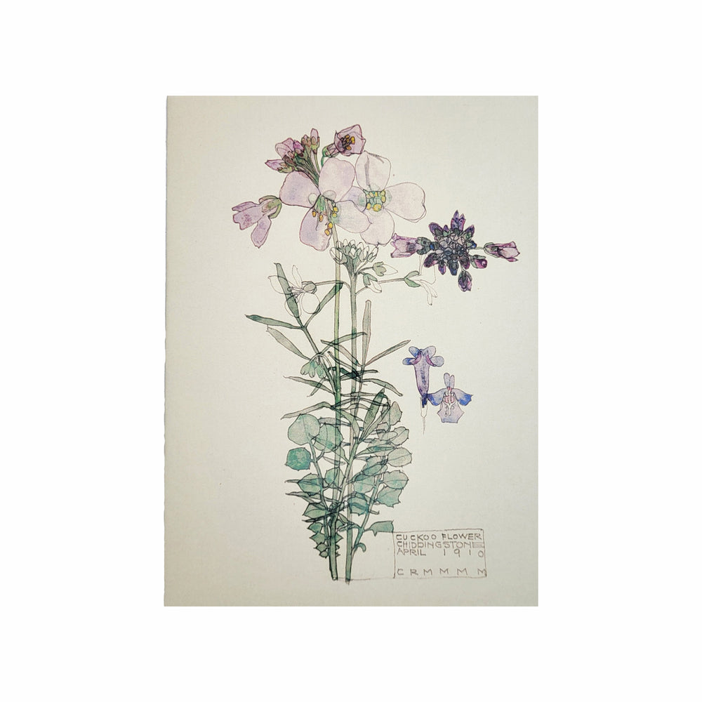 Mackintosh Cuckoo Flower Card