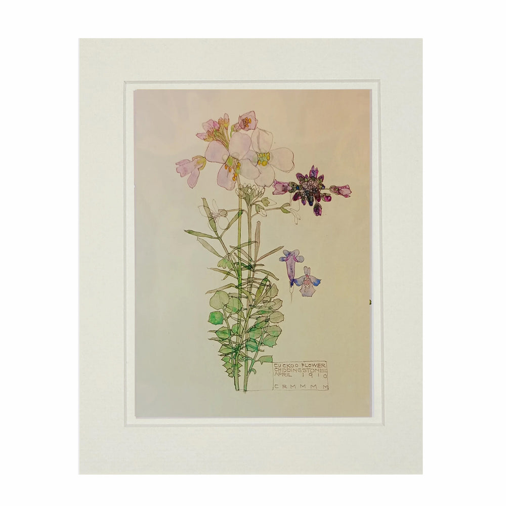 Mackintosh Cuckoo Flower Print