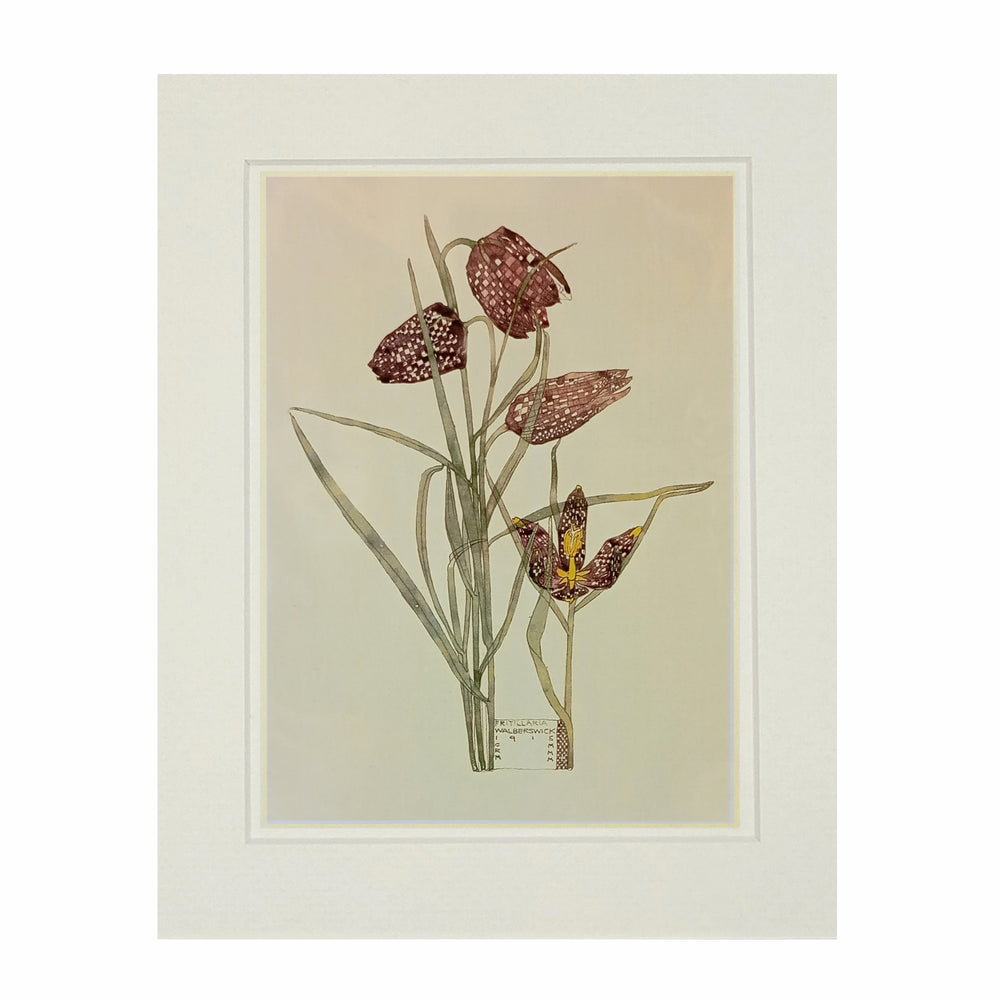 Mackintosh Fritillaria Print