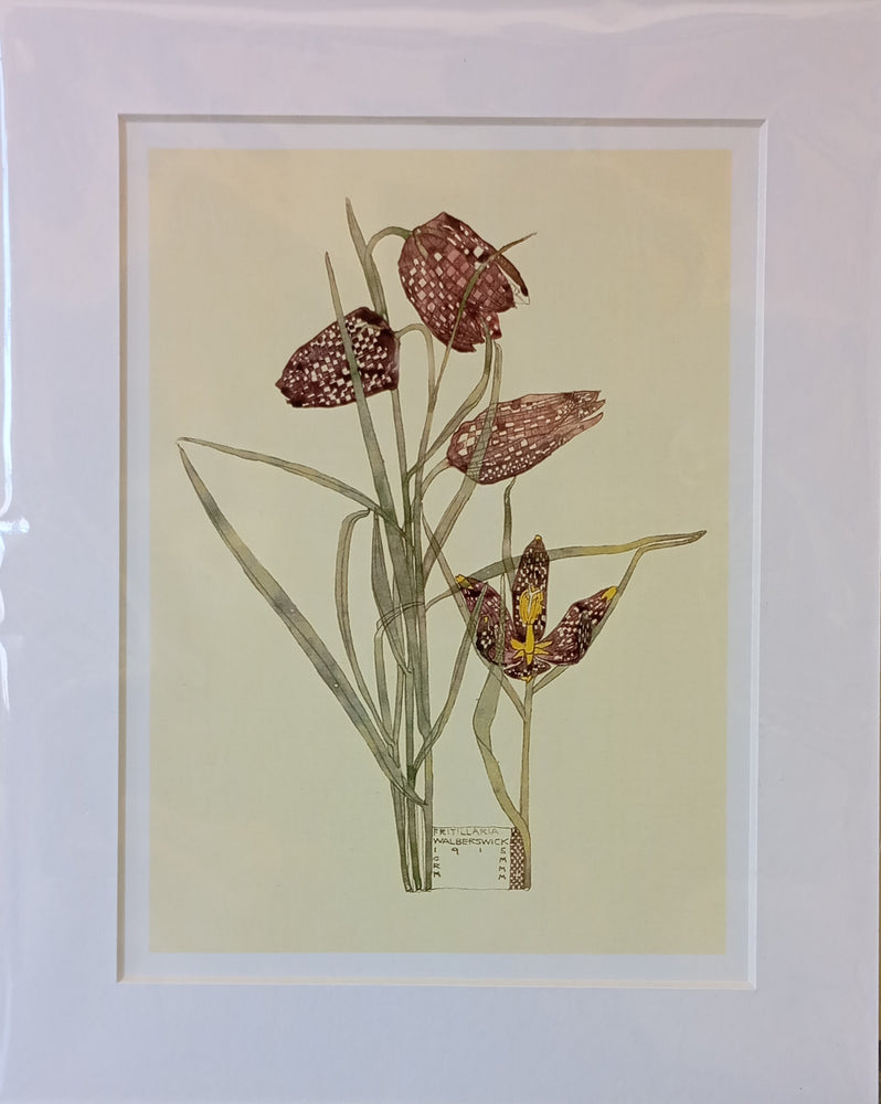 Mackintosh Fritillaria Print