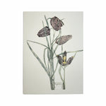 Mackintosh Fritillaria Card
