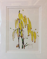 Mackintosh Hazel Tree Print