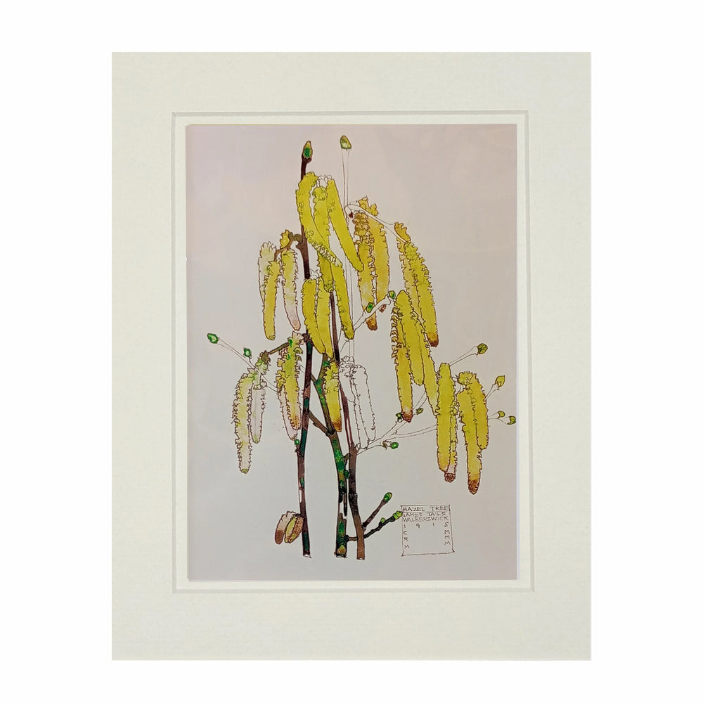 Mackintosh Hazel Tree Print