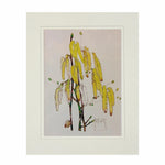 Mackintosh Hazel Tree Print