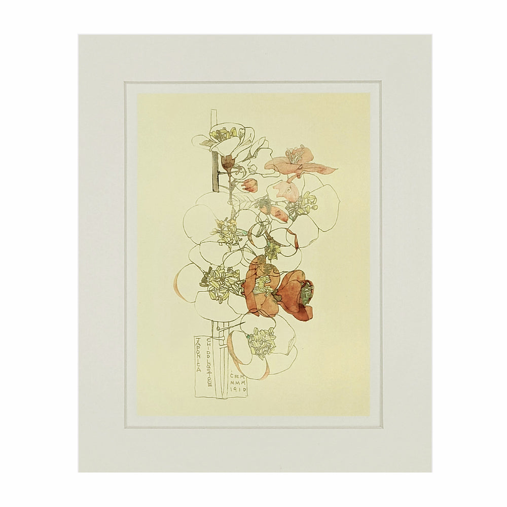 Mackintosh Japonica Print