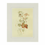 Mackintosh Japonica Print