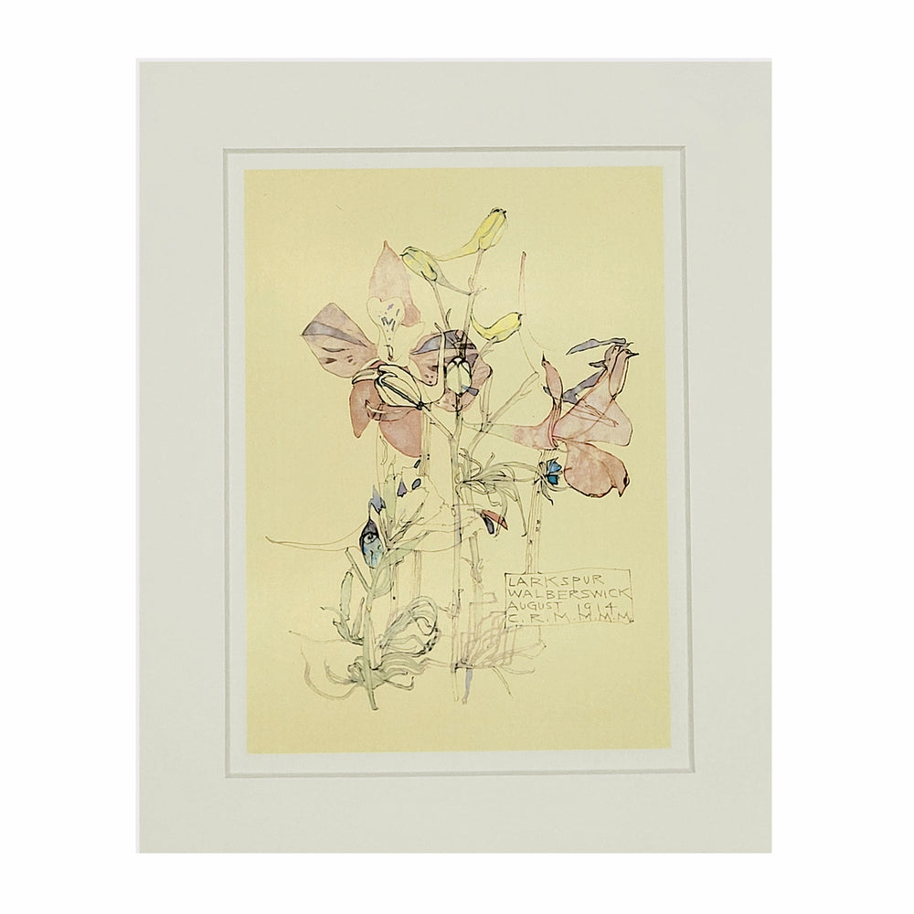 Mackintosh Larkspur Print