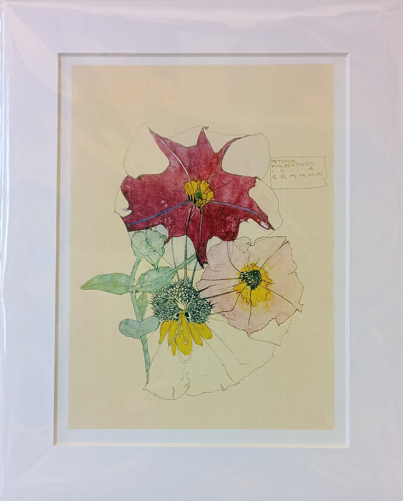Mackintosh Petunia Print