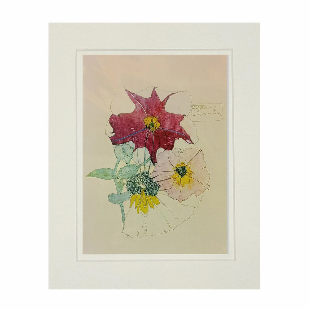 Mackintosh Petunia Print