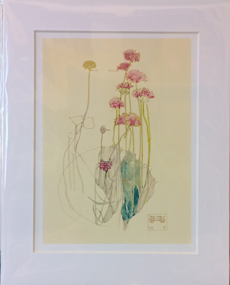 Mackintosh Sea Pink Print