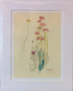 Mackintosh Sea Pink Print