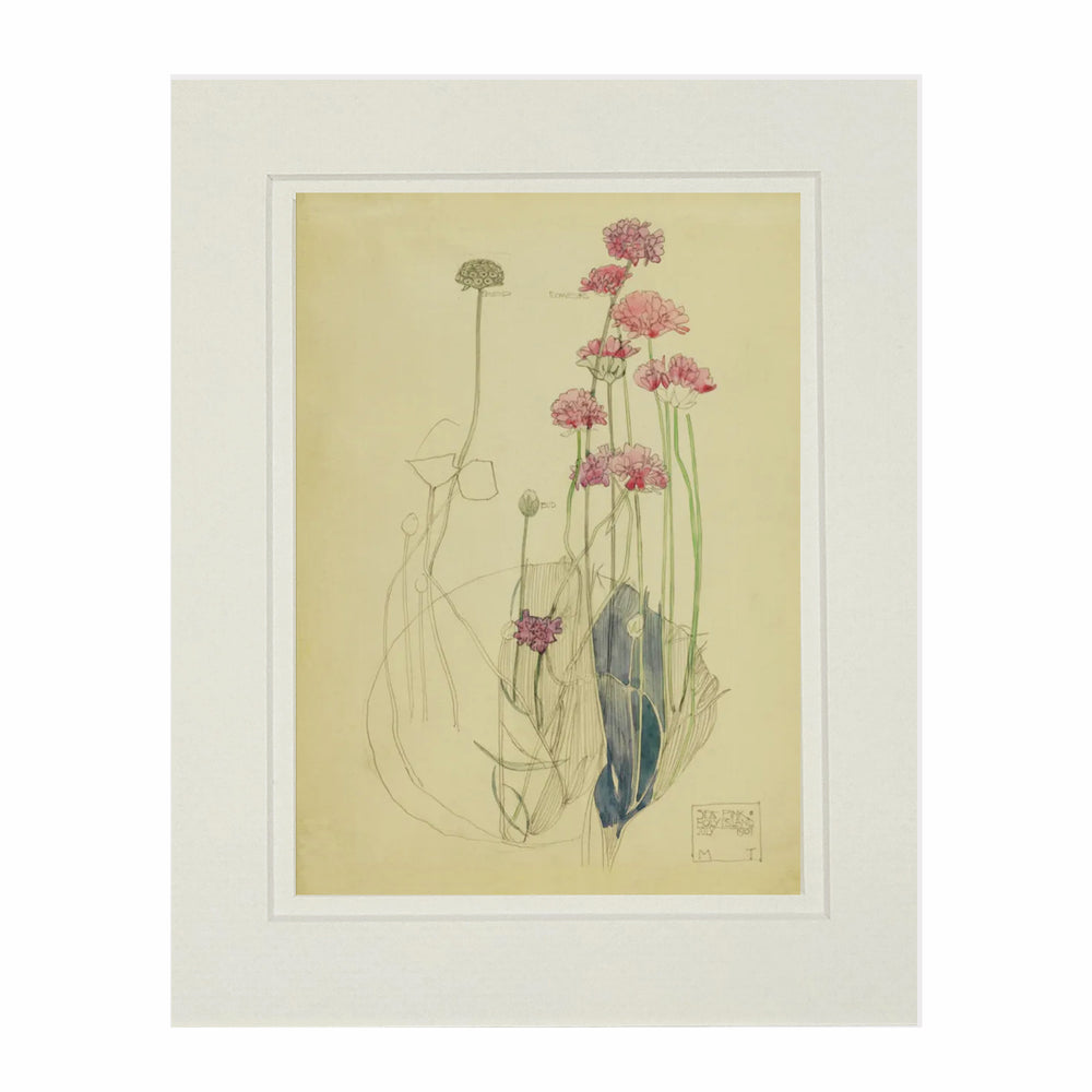 Mackintosh Sea Pink Print