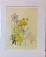 Mackintosh Spurge Print
