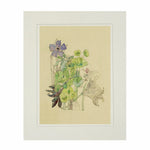 Mackintosh Spurge Print