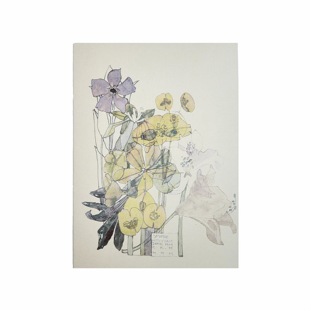 Mackintosh Spurge Card