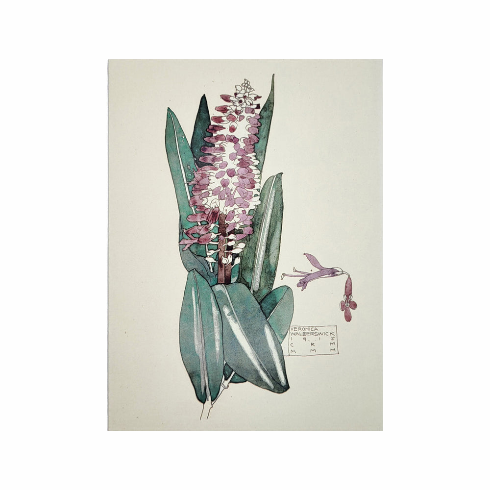 Mackintosh Veronica Card