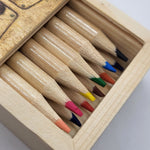 Set of colored pencils in a wooden box on a white background