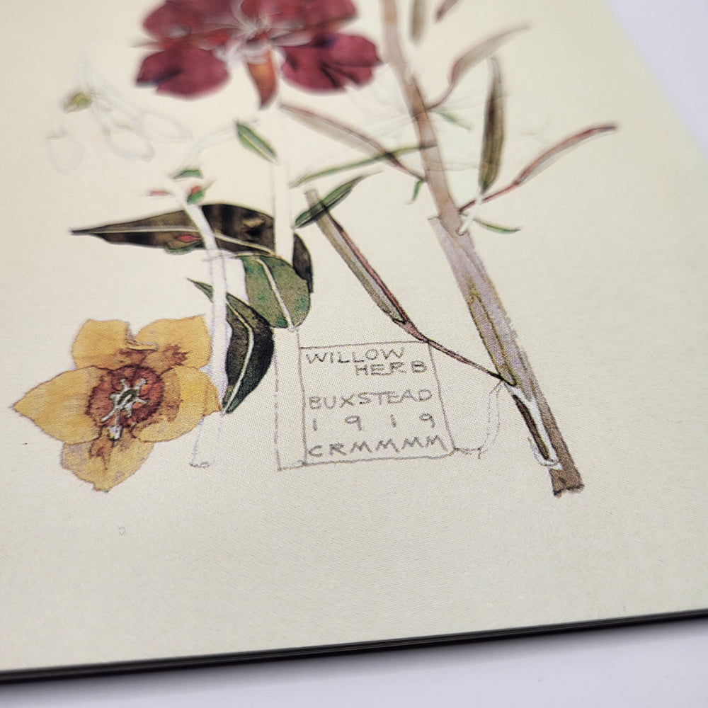 Greetings card featuring a watercolour painting of willow herb flowers, by Charles Rennie Mackintosh. The image shows a close-up of the signature box at the bottom of the painting.