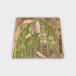 Willowwood Ceramic Coaster